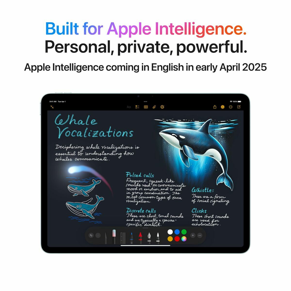 Apple Tablet Apple Ipad Air 13" 8 Gb Ram 256 Gb Blau Grau M3
