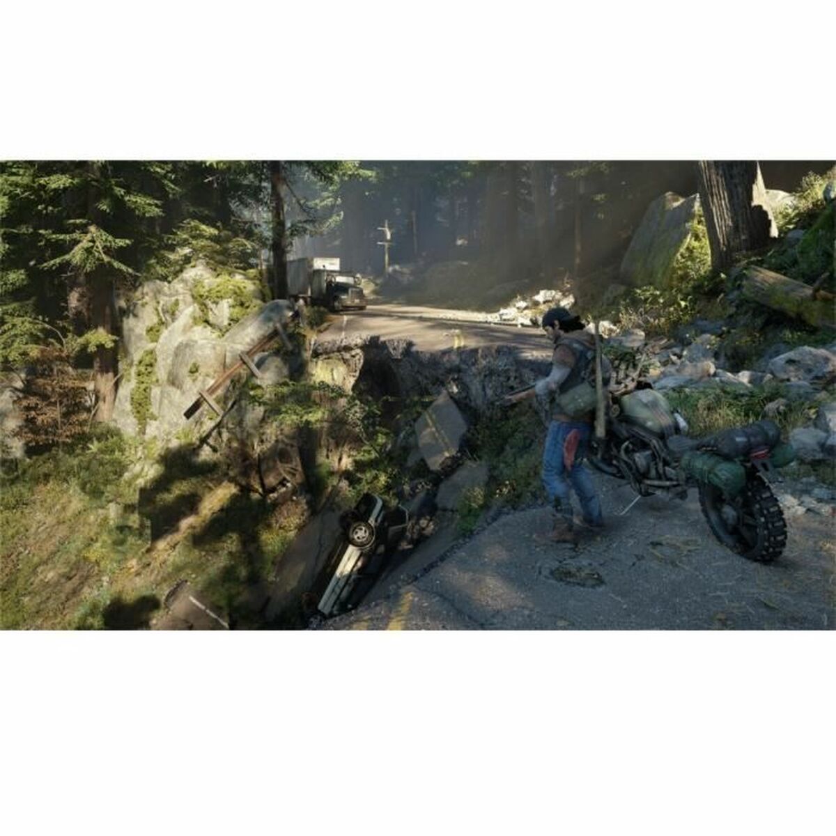 Sony Playstation 4 Videospiel Sony Days Gone