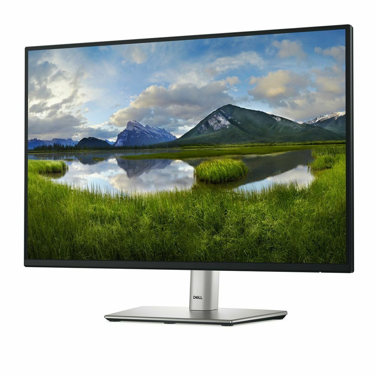 Dell Monitor Dell Dell-P2425E 24" Wuxga