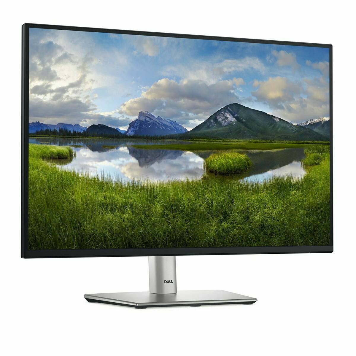 Dell Monitor Dell Dell-P2425E 24" Wuxga
