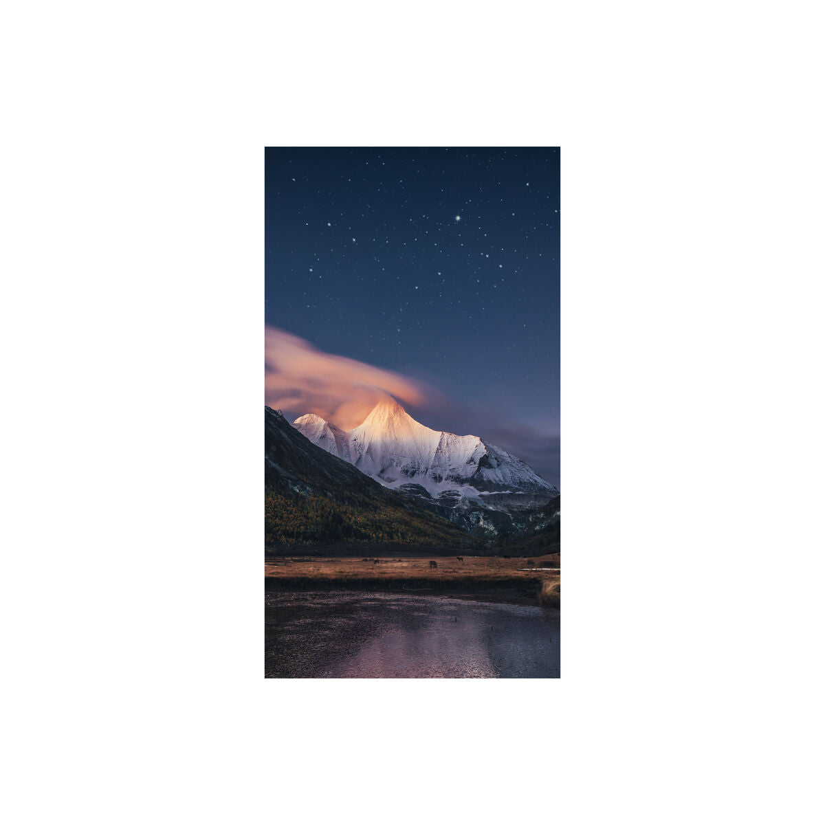 Samsung Monitor Samsung Lh55Vmcrbgbxen Full Hd 55" Ips Lcd
