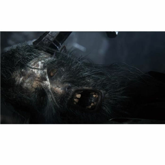 Sony Playstation 4 Videospiel Sony Bloodborne Playstation Hits
