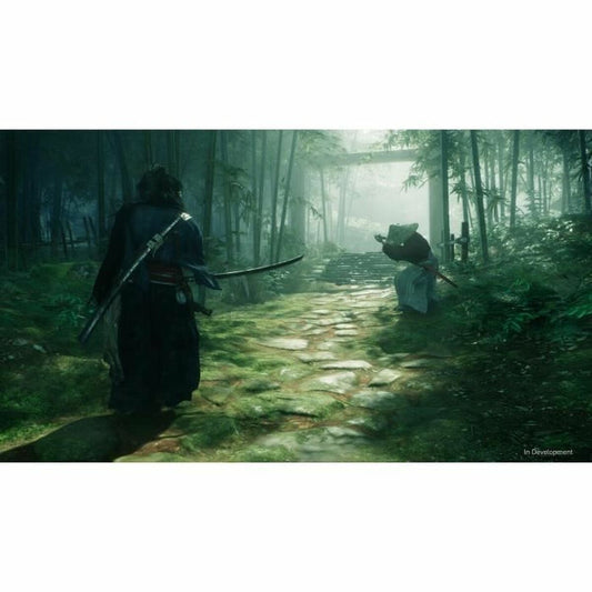 Sony Playstation 5 Videospiel Sony Rise Of The Ronin (Fr)