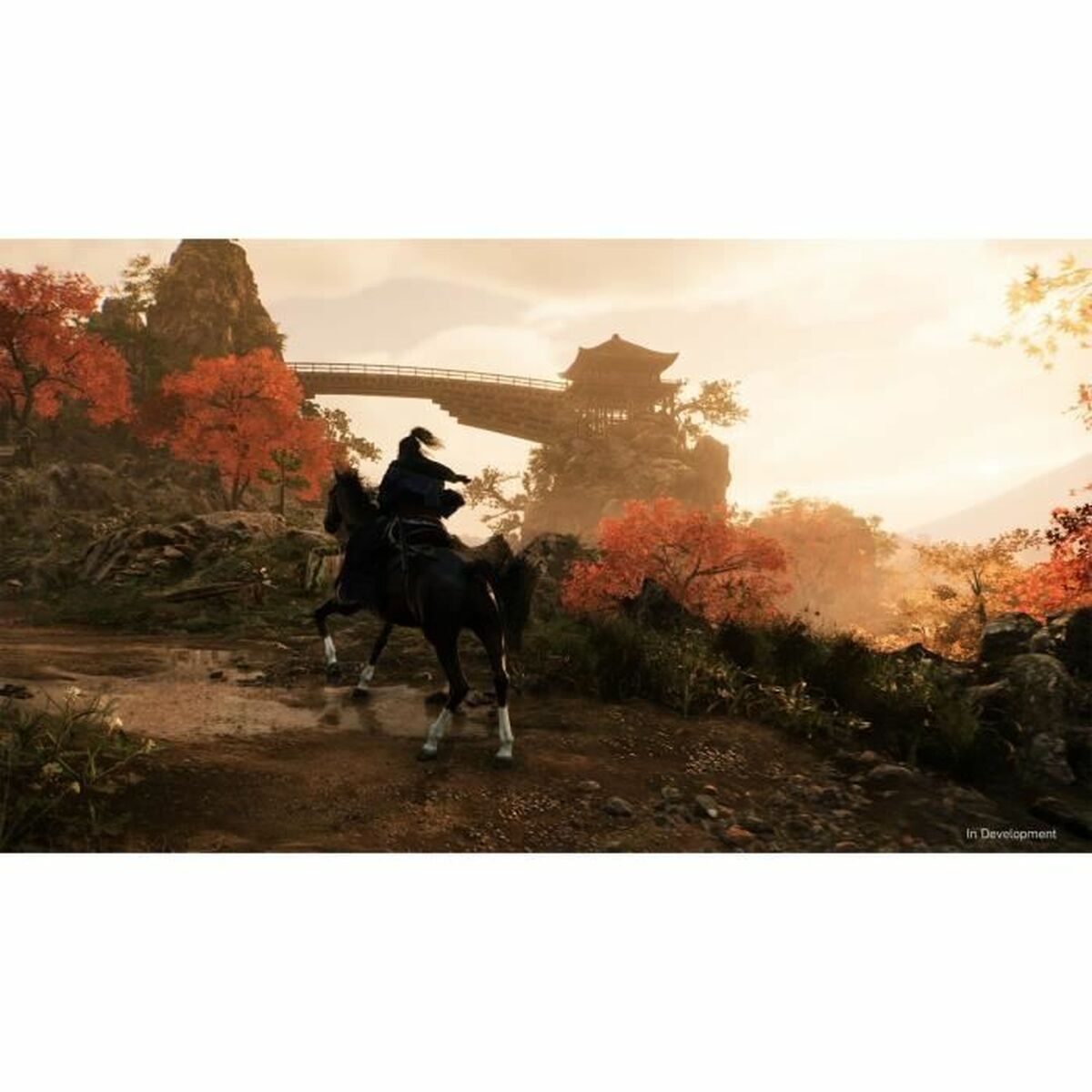 Sony Playstation 5 Videospiel Sony Rise Of The Ronin (Fr)