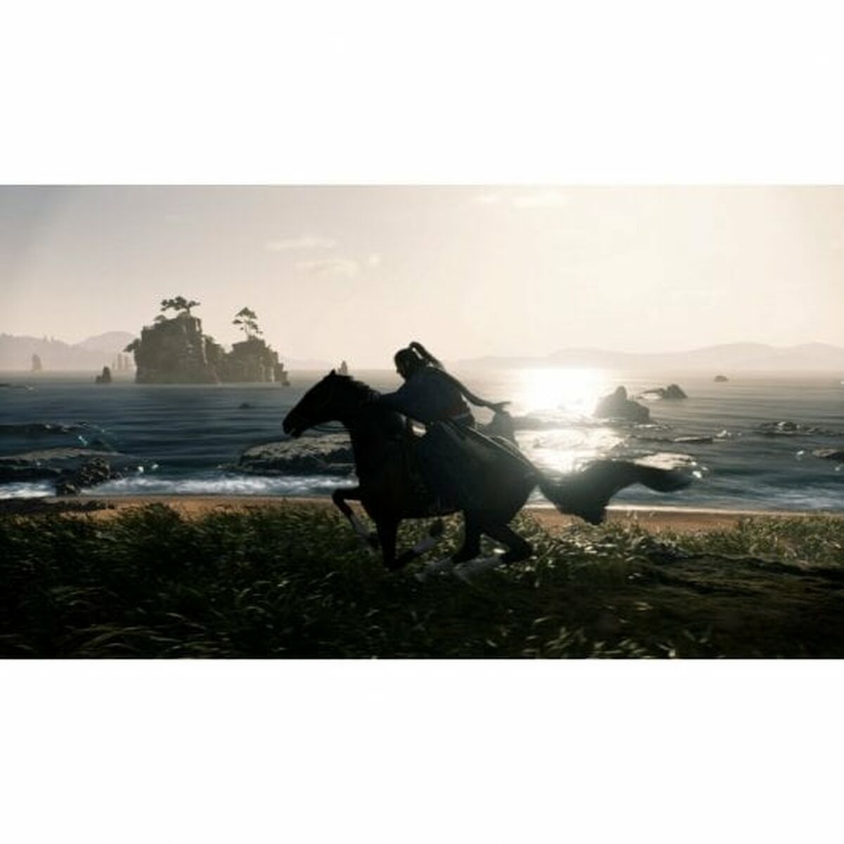 Sony Playstation 5 Videospiel Sony Rise Of The Ronin