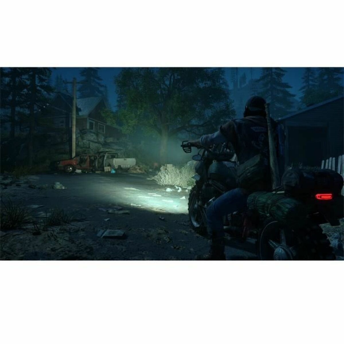 Sony Playstation 4 Videospiel Sony Days Gone