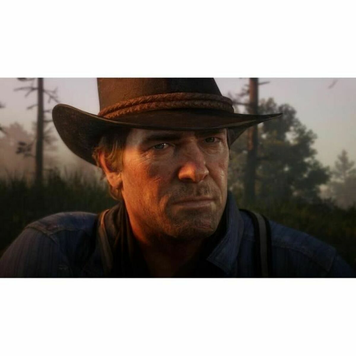 Sony Playstation 4 Videospiel Sony Red Dead Redemption 2